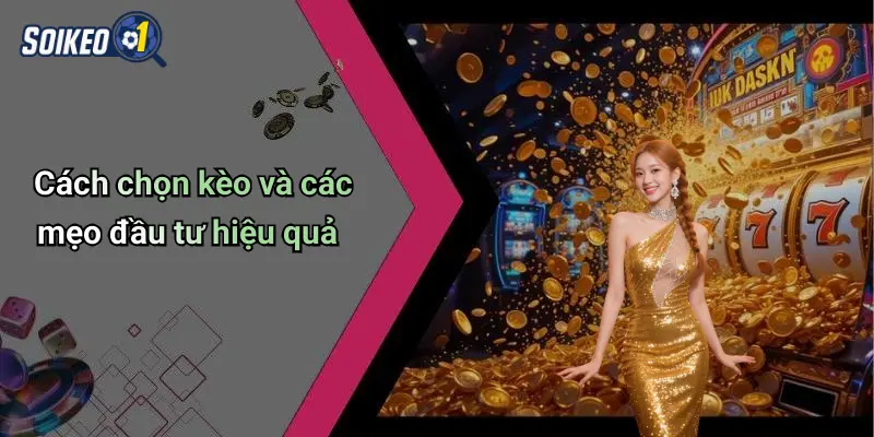 Cách chọn kèo và các mẹo đầu tư hiệu quả