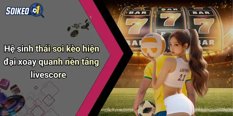 Livescore là gì? giá trị thực tế trong bóng đá hiện đại