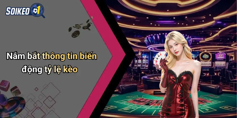 Nắm bắt thông tin biến động tỷ lệ kèo