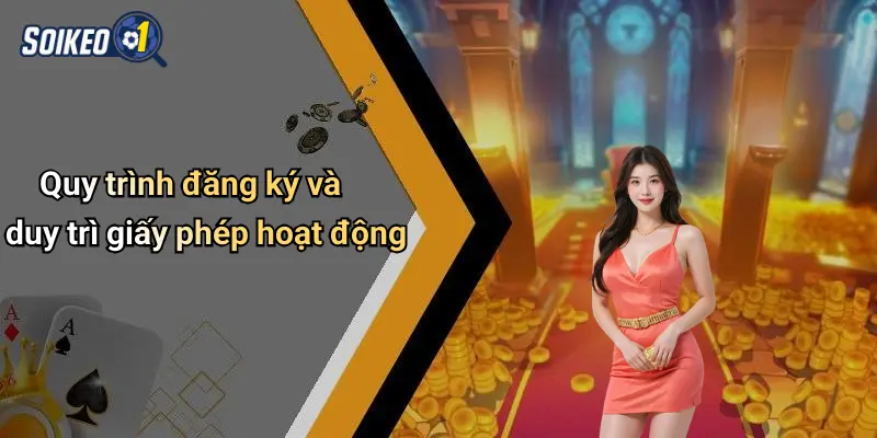 Quy trình đăng ký và duy trì giấy phép hoạt động