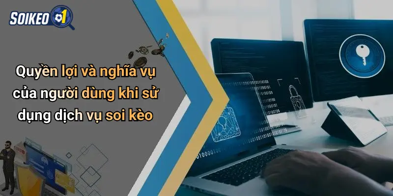 Quyền lợi và nghĩa vụ của người dùng khi sử dụng dịch vụ soi kèo