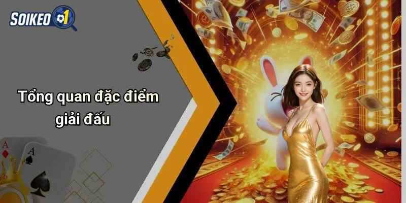 Tổng quan đặc điểm giải đấu