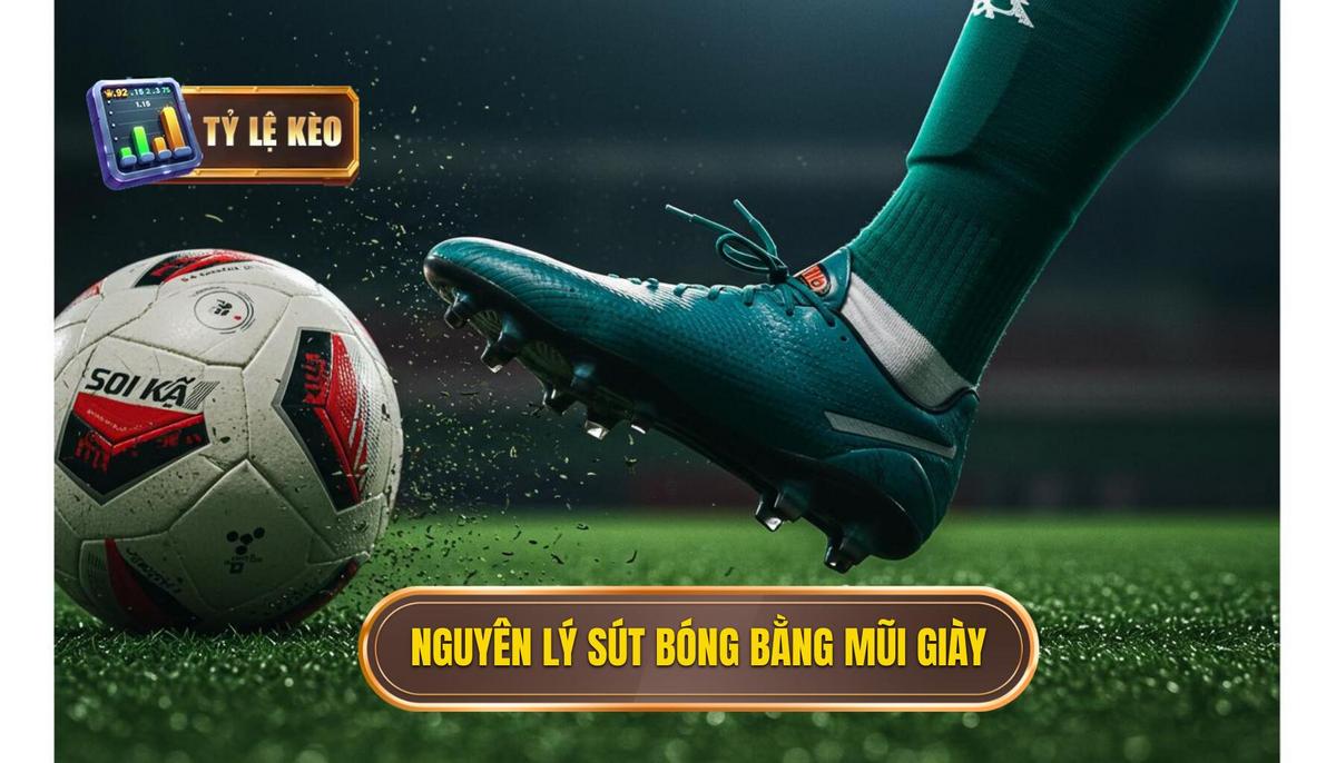 Phần 1_ Nguyên Lý Cơ Bản của Kỹ thuật Sút Bóng Bằng Mũi Giày