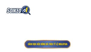Cách đọc kèo bóng đá theo tỷ lệ Malaysia