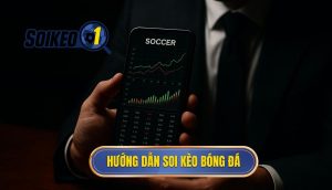 thumb - hướng dẫn soi kèo bóng đá