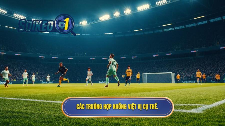 2. Các trường hợp không việt vị cụ thể.