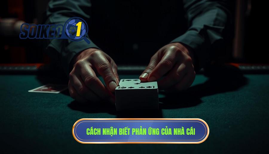 Cách nhận biết phản ứng của nhà cái
