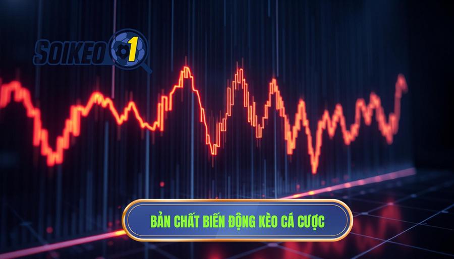 Bản chất của việc biến động kèo trong cá cược